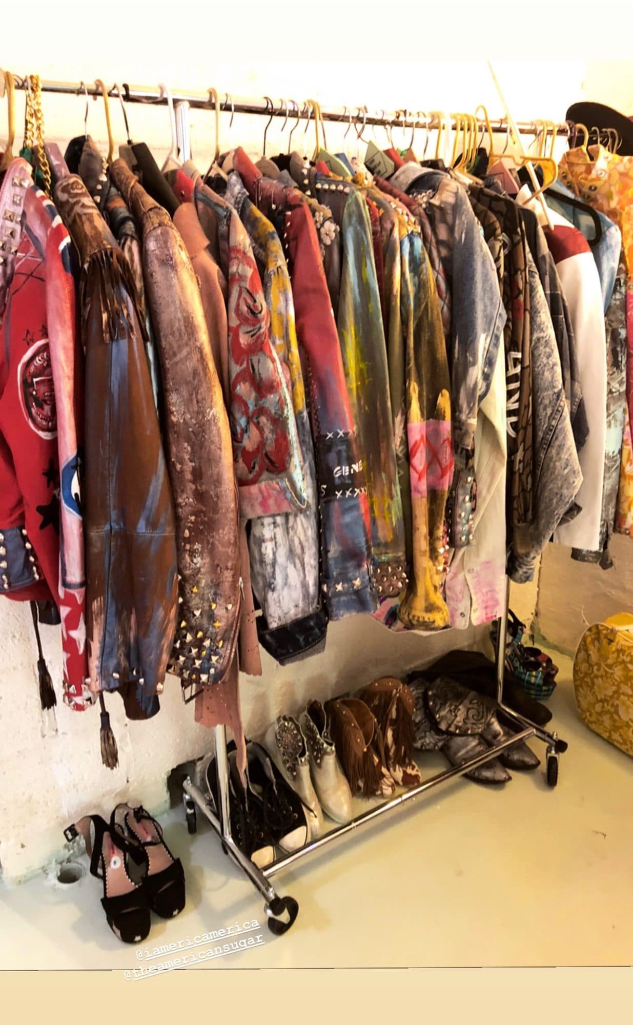 Two of these live in Dolly Parton's closet