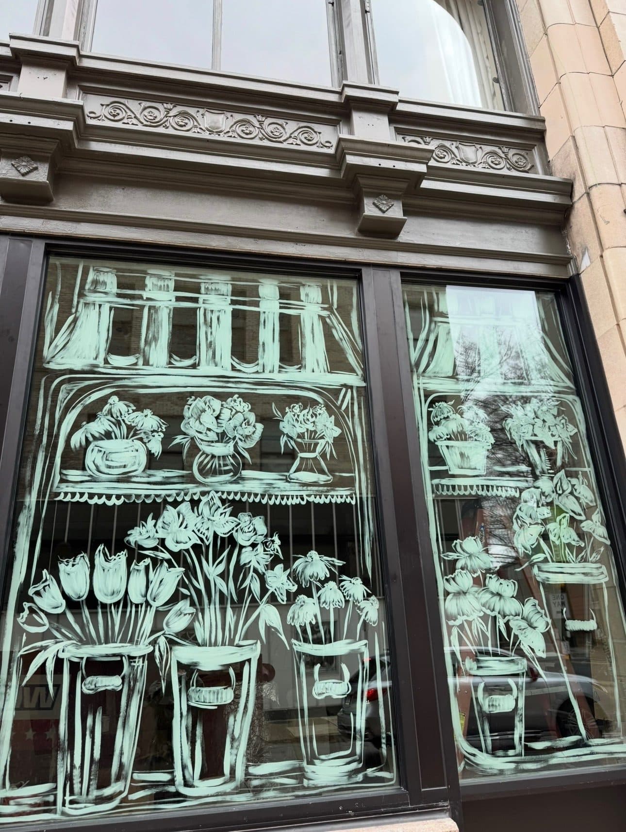 Shop Windows